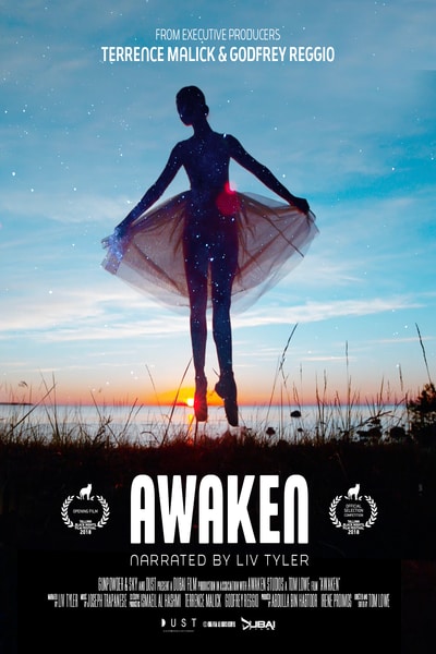 Awaken Poster
